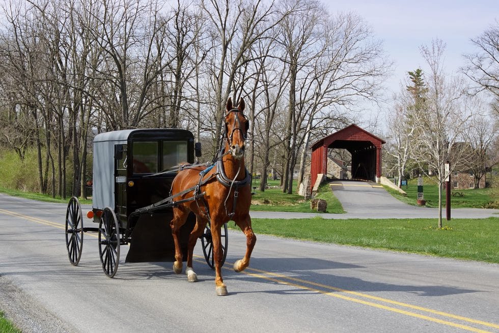 Vacation Travel Innovation Reviews image of an Amish horse and buggy in Lancaster Pennsylvania during a family fall trip.